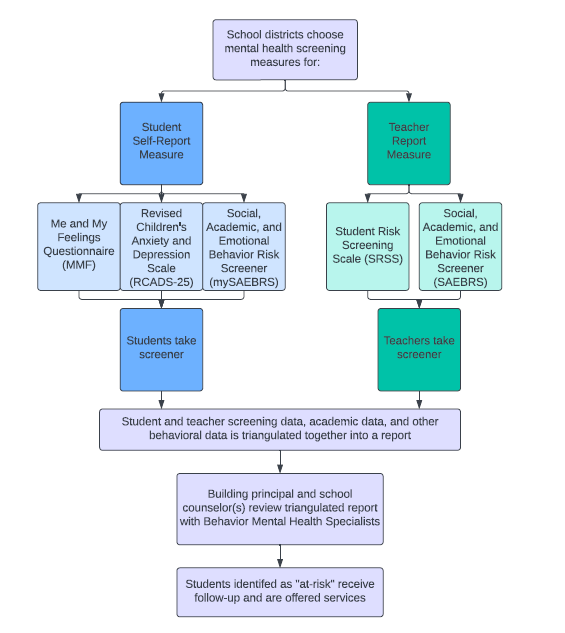 Screening Process Flow Chart